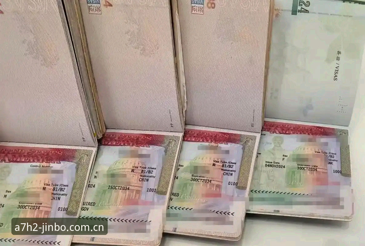 世界杯观赛签证危机深度解析